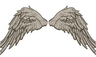 天使的翅膀怎么唱技巧 天使的翅膀吉他弹唱